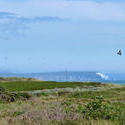 4201-  hengistbury-head_polar_bear_view.jpg