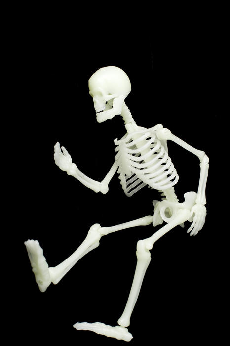a toy human skeleton