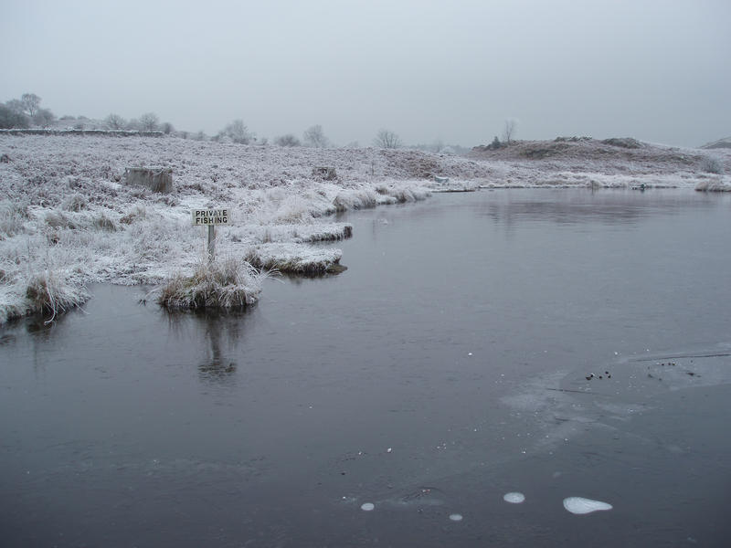 a fishing pond covered in a layer of thin ice