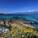 4415   Jetty Landing at Plage du Loto, Corsica