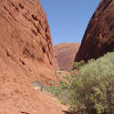 4103-kata tjuta rock domes