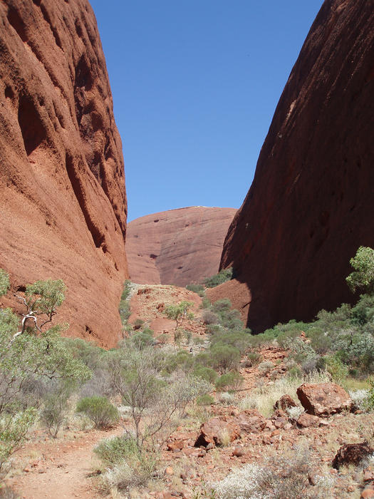 the valley of the winds, kata tjuta, northern territory, australia