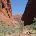 4104-kata tjuta