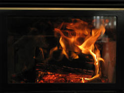 3366-burning logs