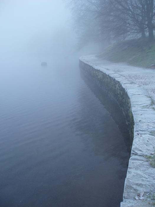 a misty foggy atmospheric lakeside scene