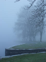 3498-foggy day