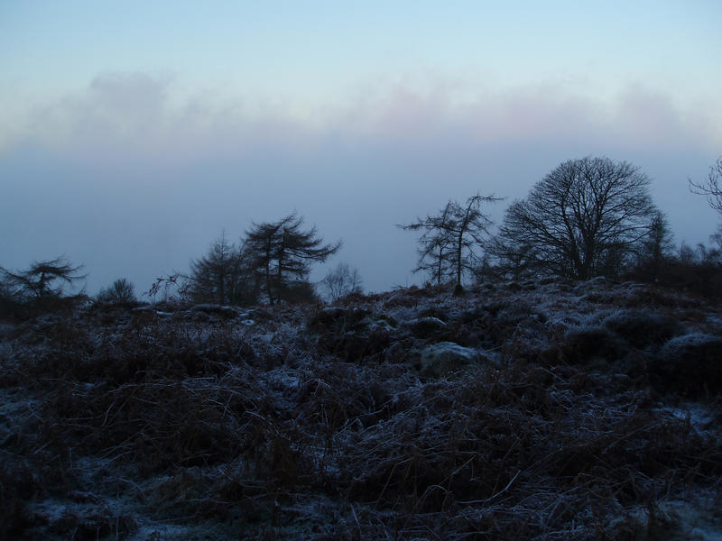 looking down onto a valley full of cold misty air