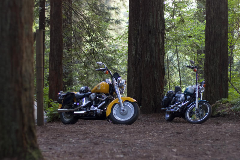 a pair of motorcycles, their riders taking a rest on a long road trip through the sierra nevada