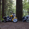 3105-classic motocycles