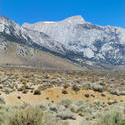 3073-mount_whitney_view.jpg