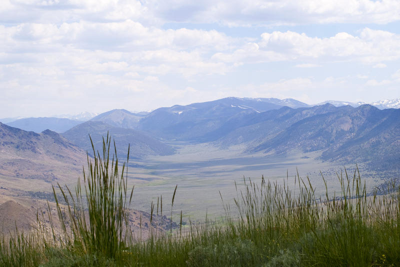 looking down from a mountain side into a green valley in the sierra navada mountains, california