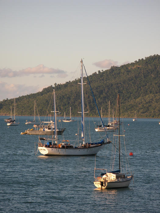 boats moored of the coast of airle beach in an area known locally as muddy bay