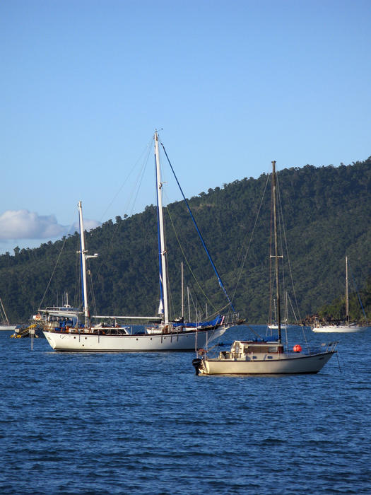 boats moored of the coast of airle beach in an area known locally as muddy bay