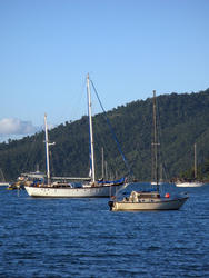 3407-muddy bay boat moorings