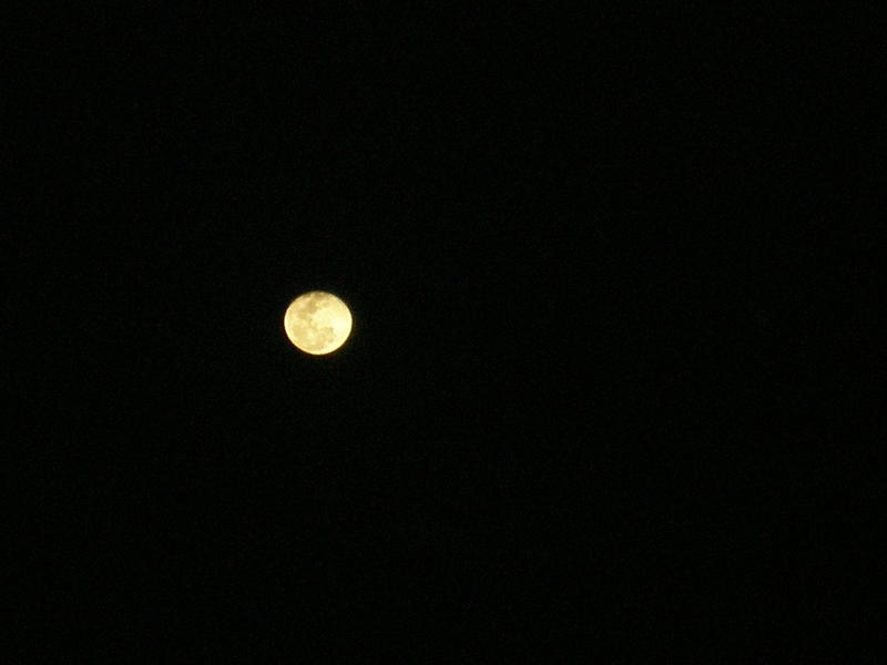 <p>&nbsp;fly me to the moon</p>