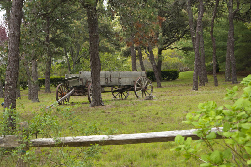 <p>Old Wagon In Field</p>An old wagon sits in a field