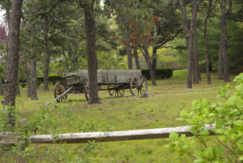 <p>Old Wagon In Field</p>An old wagon sits in a field