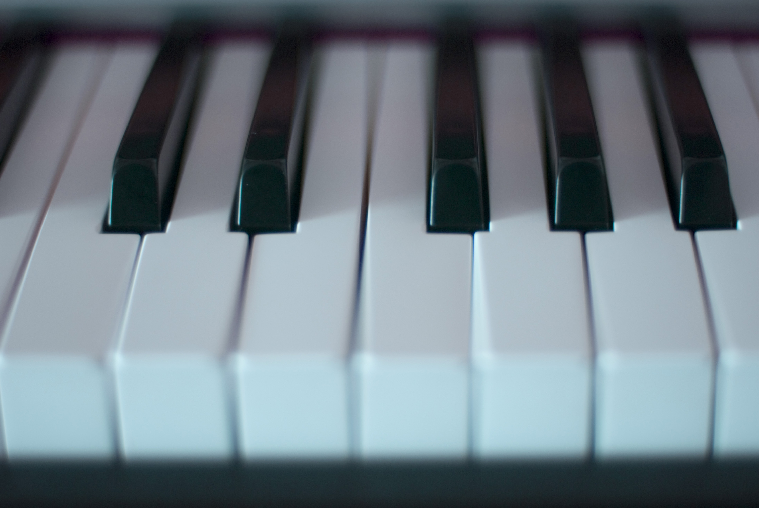 Free Stock Photo 3981-piano keyboard closeup | freeimageslive