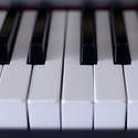 4021-8 piano keys