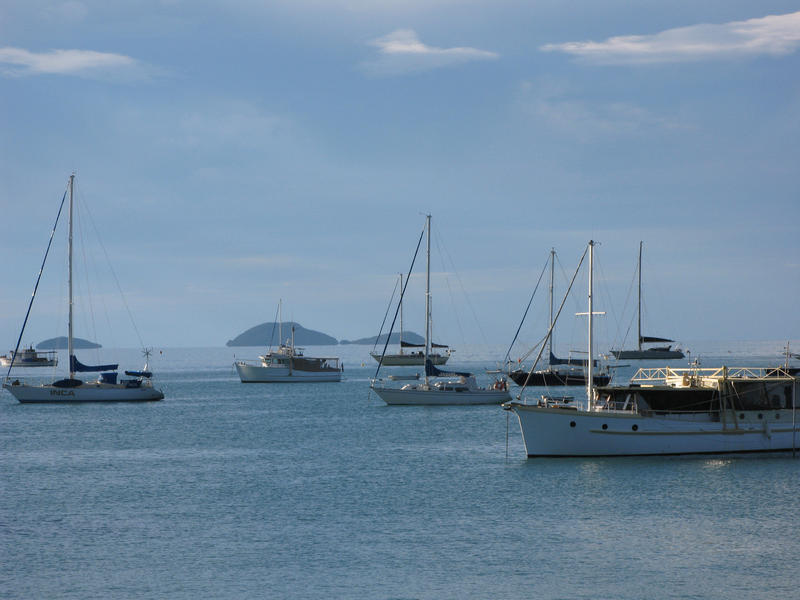 ychts and boats moored in pioneer bay, whitsundays, QLD, australia