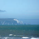 4199-  polar_bear_isle_of_wight.jpg