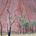 4113-uluru details