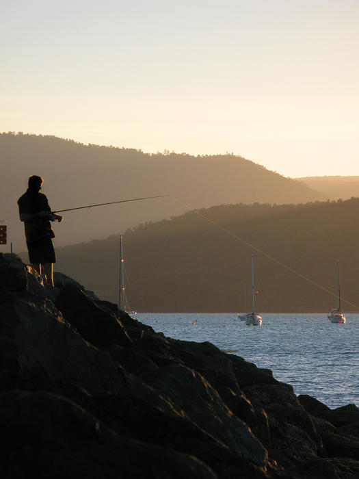 fishing from the wall of a marina