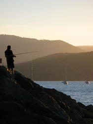 3373-fishing silhouette