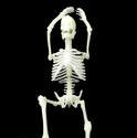 2990-relaxed skeleton