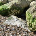 3892-rocks_on_the_beach.JPG