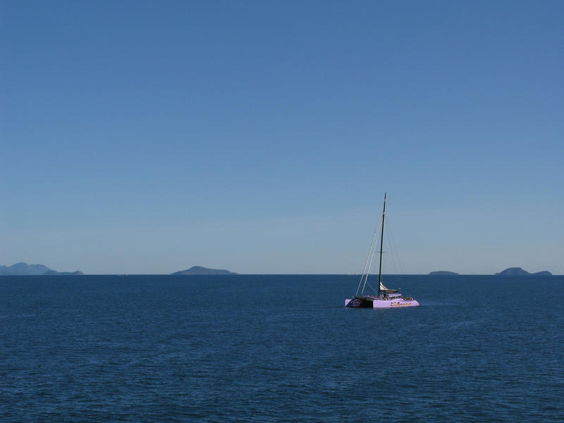 85 foot long pink sailing catamaran: editorial use only