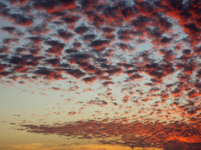 fluffy clounds glowing pink and orange at sunset