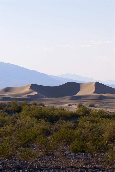 sand dunes in death valley