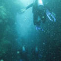 3354-scuba divers
