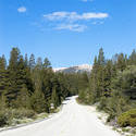3081-sequoia national park drive