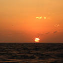 3384-tropical sunset