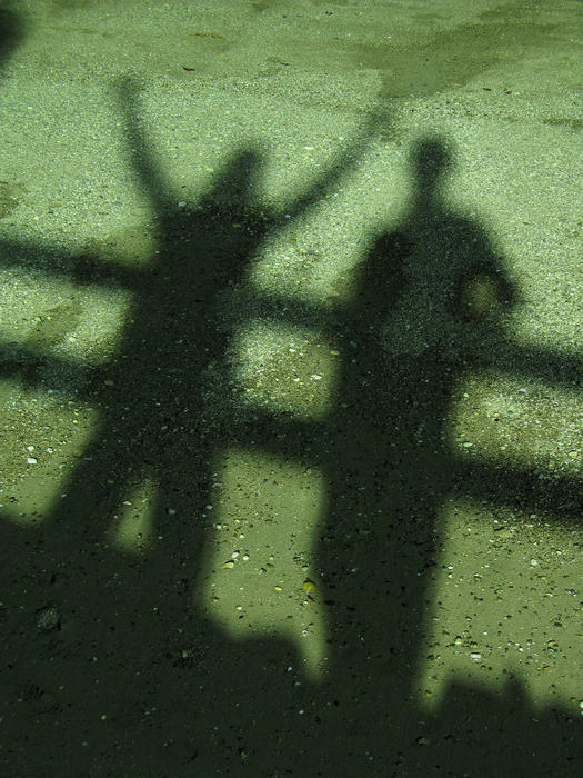 casting shadows in the greenish light from a street lamp at night