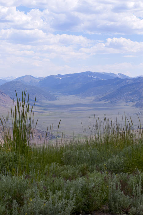 looking down from a mountain side into a green valley in the sierra navada mountains, california