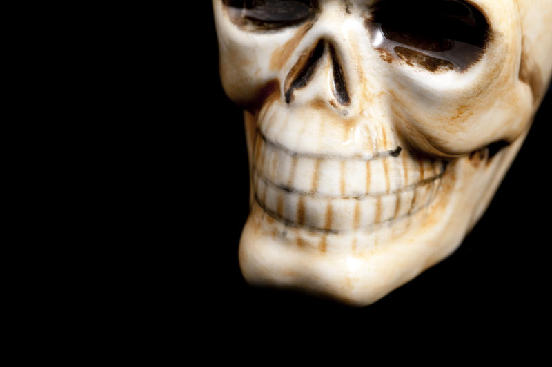 close up on the jaw and teeth of a halloween decorative skull