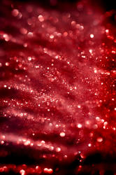 3641-abstract christmas glitter