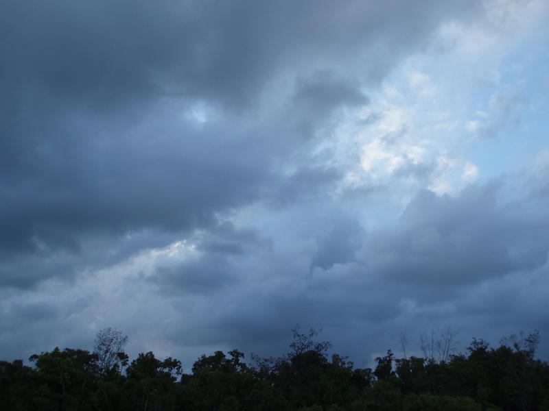 a clouded stormy sky above a line of trees