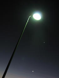 3365-lamp post