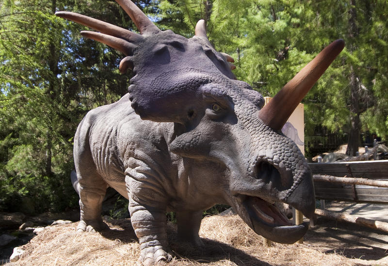 styracosaurus dinosaur