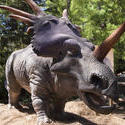 3237-styracosaurus