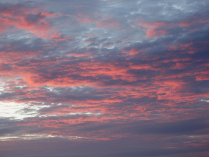 clouds glowing pink illuminated by the setting sun