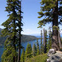 3035-tahoe forest