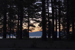 3091-Tahoe Sunset treeline