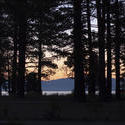 3091-Tahoe Sunset treeline