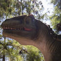 3240-tyrannosaurus rex