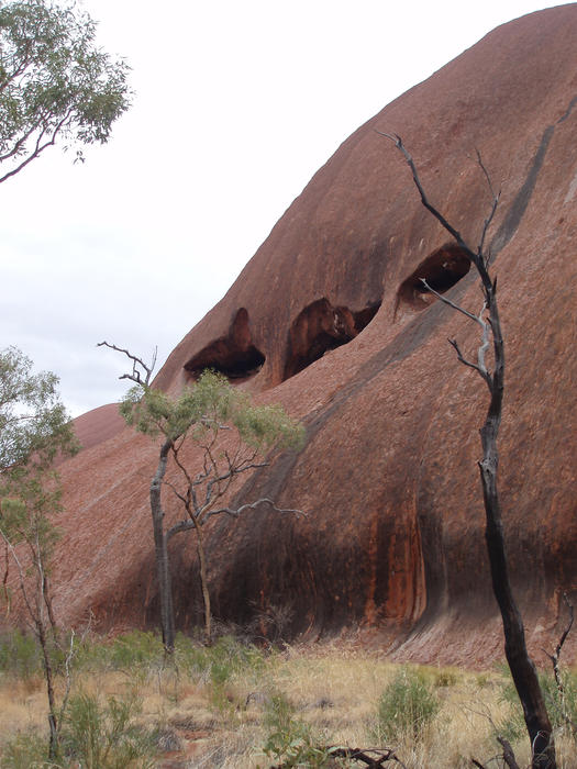 weather eriosion on the side of uluru (ayres rock)